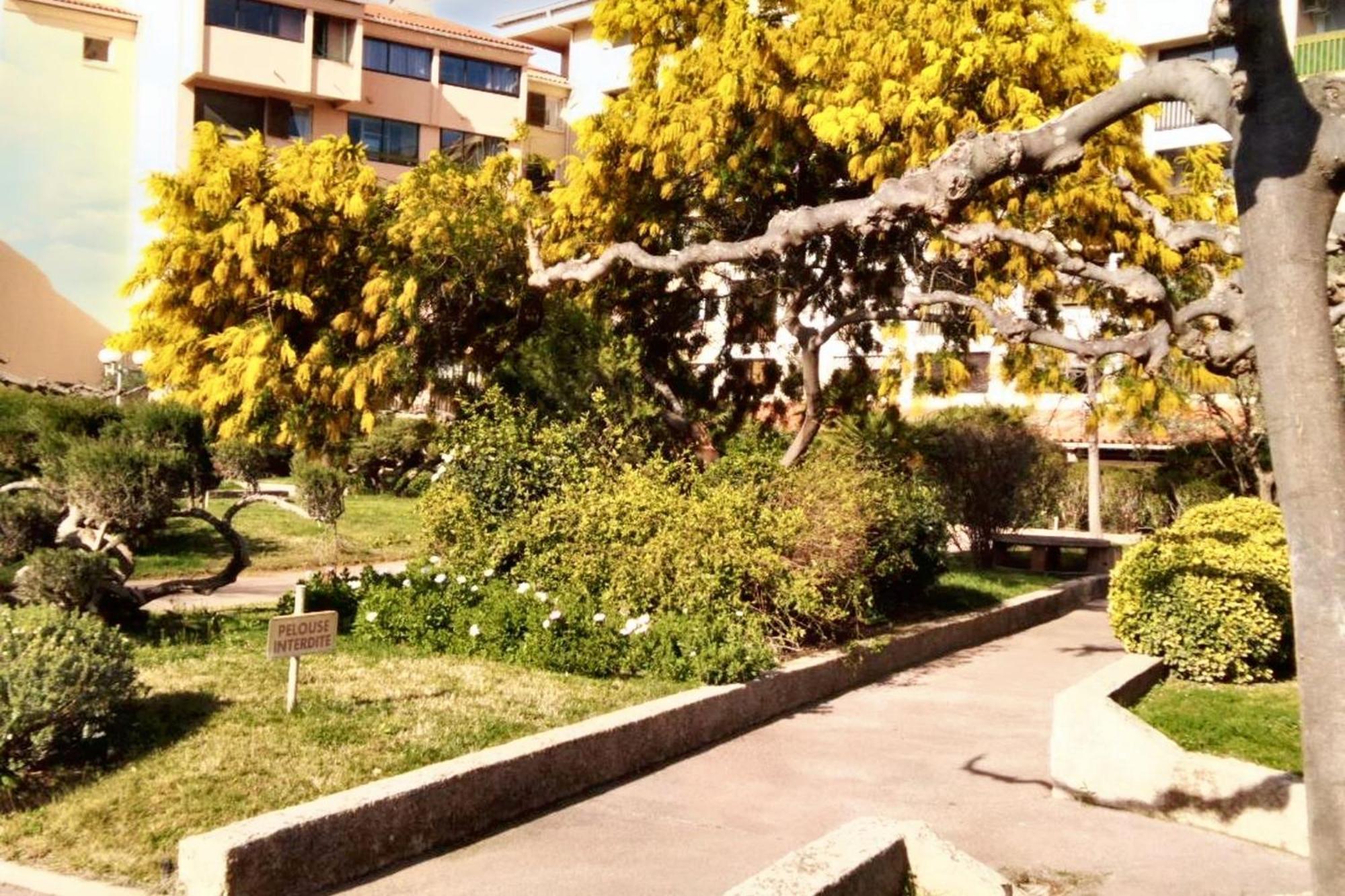 Avec Vue Sur La Piscine Partagee Et Balcon Amenage A A 2 Km De La Appartement *